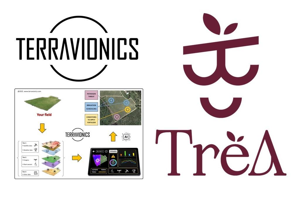 Artificial Intelligence for Real Agriculture: innovating sustainably