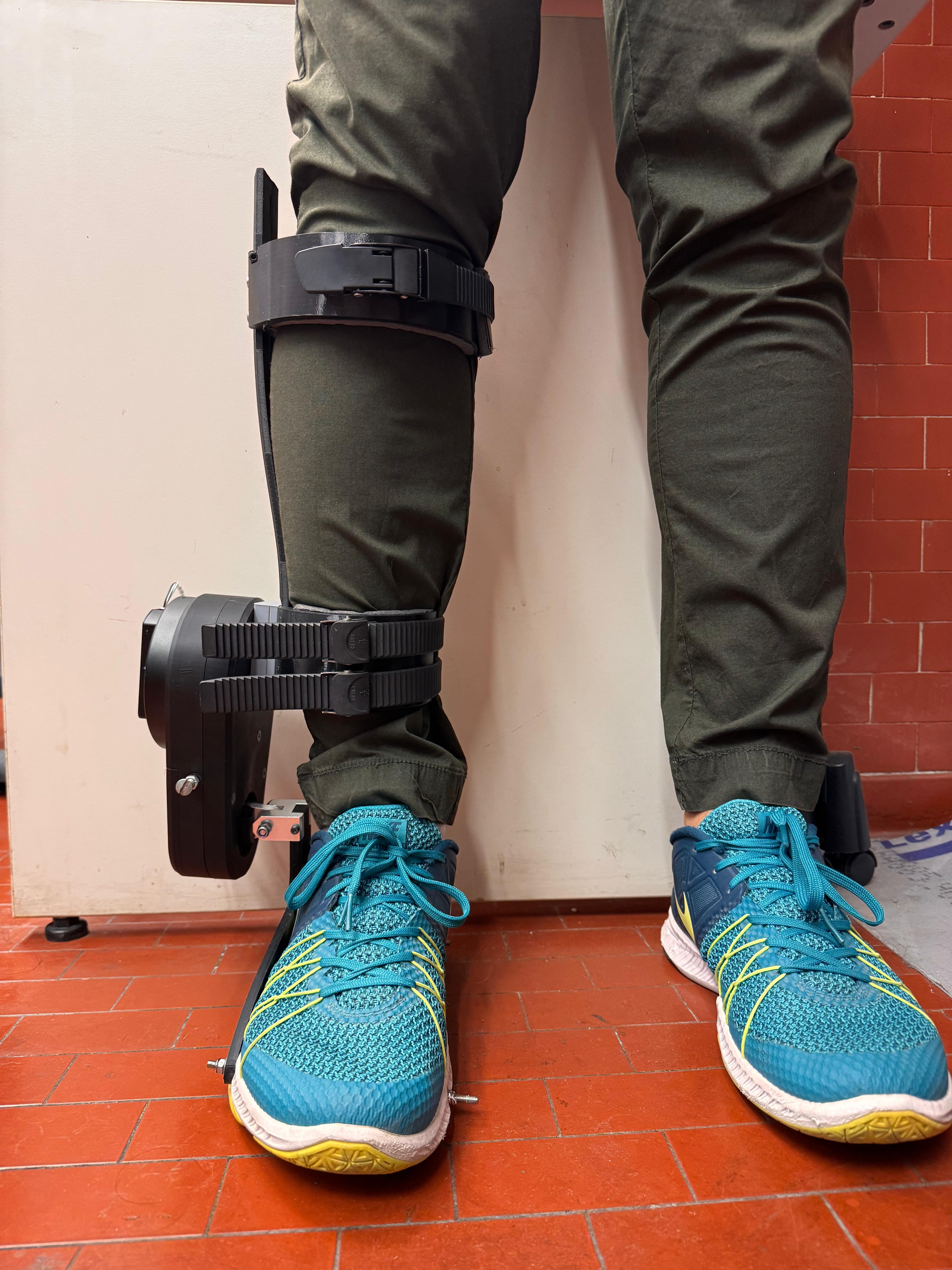 Hermes: A novel 2-DoF ankle exoskeleton for gait assistance and rehabilitation