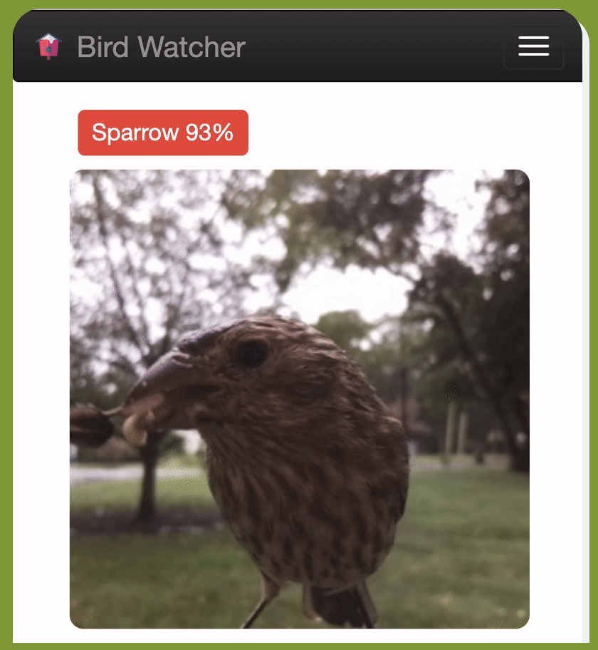 Bird Watcher: Build an AI powered bird detector