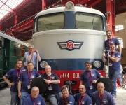 Gruppo Fer modellistico tartaruga